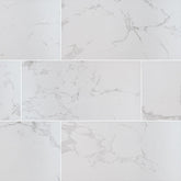 MS International Praia 12" x 24" Matte 9.6mm Carrara