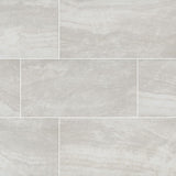 MS International Praia 24" x 48" Polished 9.6mm Grey