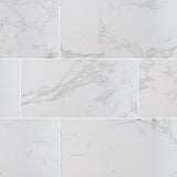 MS International Praia 24" x 48" Polished 9.6mm Carrara