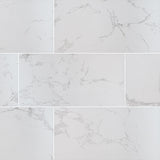 MS International Praia 24" x 48" Polished Carrara
