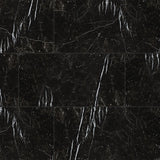 MS International Regallo 12" x 24" Polished Marquina Noir