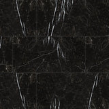MS International Regallo 24" x 48" Polished Marquina Noir