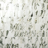 Marazzi Editorial 2" x 5" Fish Scale Mosiac 10" x 11" Polished Vireo Balmain