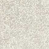 Marazzi D Segni Terrazzo 8" X 8" White