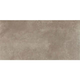 Daltile Emergent 24" X 48" Pewter