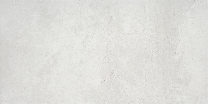 Emser Realm II 12"x24" Assembly