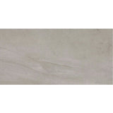 Daltile Wanderwise 12" X 24" Roam