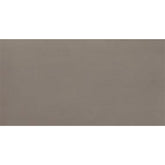 Daltile Fixture 24" X 48" Matte Soil