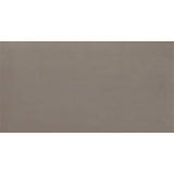Daltile Fixture 24" X 48" Matte Soil