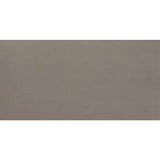 Daltile Fixture 24" X 48" Polished Soil