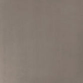 Daltile Fixture 24" X 24" Polished Soil