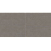 Daltile Astronomy 12" X 24" Solstice