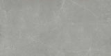 Emser Sterlina II 24"x47" Polished Gray
