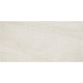 Daltile Wanderwise 12" X 24" Swan