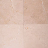 MS International Natural Stone Marble 18" x 18" Polished 12.7mm Crema Marfil Classic