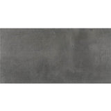 Daltile Emergent 24" X 48" Titanium