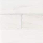 MS International Natural Stone Marble 4" x 12" Polished Bianco Dolomite