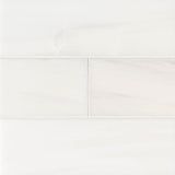 MS International Natural Stone Marble 4" x 12" Polished Bianco Dolomite