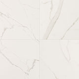 MS International Kaya 24" x 24" Polished Calacatta Venato