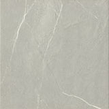 Emser Caru 17" x 17" Matte Rengo
