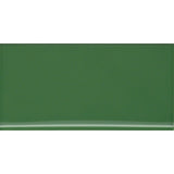 Emser Catch 3" x 6" Bullnose Glossy Clover