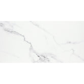 Emser Contessa 24" x 47" Matte Dama