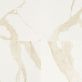 MS International Eden 24" x 24" Matte Calacatta
