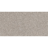 Emser Fragmento SM 12" x 24" Matte Sm Fawn