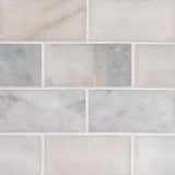 MS International Natural Stone Marble 3" x 6" Greecian White