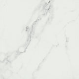 Emser Contessa 18"x18" Matte Dama