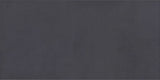 Emser Cosmopolitan 12"x24" Charcoal
