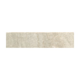 Emser Milestone 3" x 12" Bullnose Dust