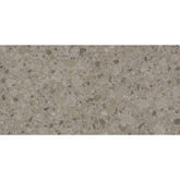 Emser Mixt Flake 12" x 24" Matte Greige