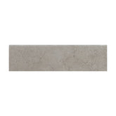 Emser Network 3" x 12" Bullnose Gray