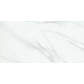 Emser Nobleza 24" x 47" Matte Astorga