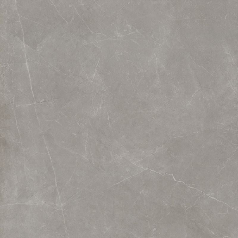 Emser Sterline 24" x 24" Polished Dove