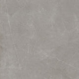 Emser Sterline 24" x 24" Polished Dove