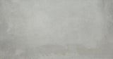 Emser Borigni 12"x23" Gray