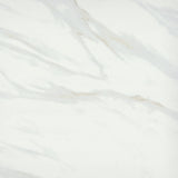 Emser Vara 24" x 24" Polished Ribia