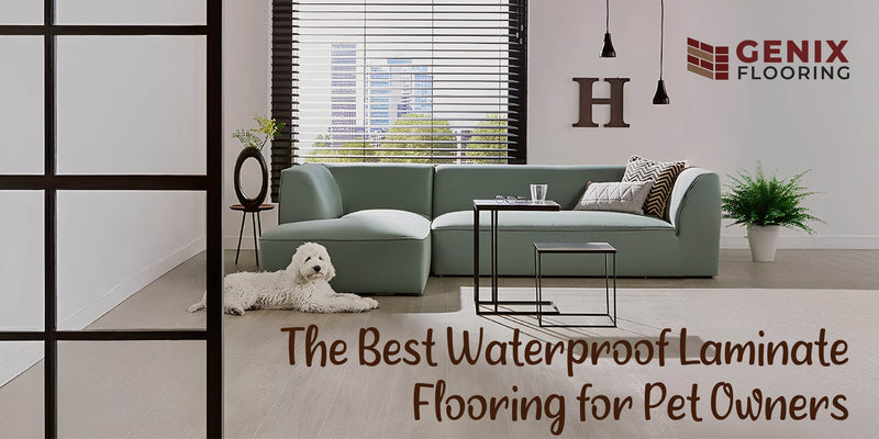 The Best Waterproof Laminate Flooring for Your Home: Dog-Friendly, Pet-Resistant & Perfect for Homes with Pets