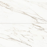 Bedrosians Prati 24" x 48" Honed Calacatta Borghini Warm