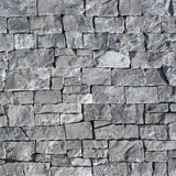 Bedrosians Stone Ledgers 8" x 22" Jumbo Ledger - Wired Mesh Fossil Grey