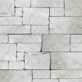 Bedrosians Stone Ledgers 8" x 22" Tumbled Ledger - Wired Mesh Taupe Marble