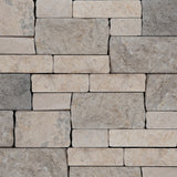 Bedrosians Stone Ledgers 8" x 22" Tumbled Ledger - Wired Mesh Mixed Beige & Grey Limestone