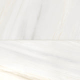 Bedrosians Magnifica 24" x 48" Polished Bianco Lasa