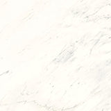 Bedrosians Magnifica Encore Slab 58.5" x 86" Shower Panels Honed Luxe White