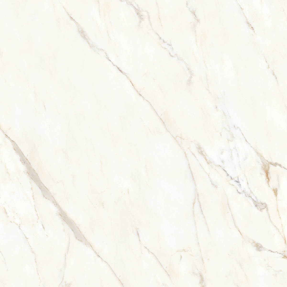 Bedrosians Magnifica Encore Slab 40.62" x 86" Shower Panels Honed Calacatta Oro