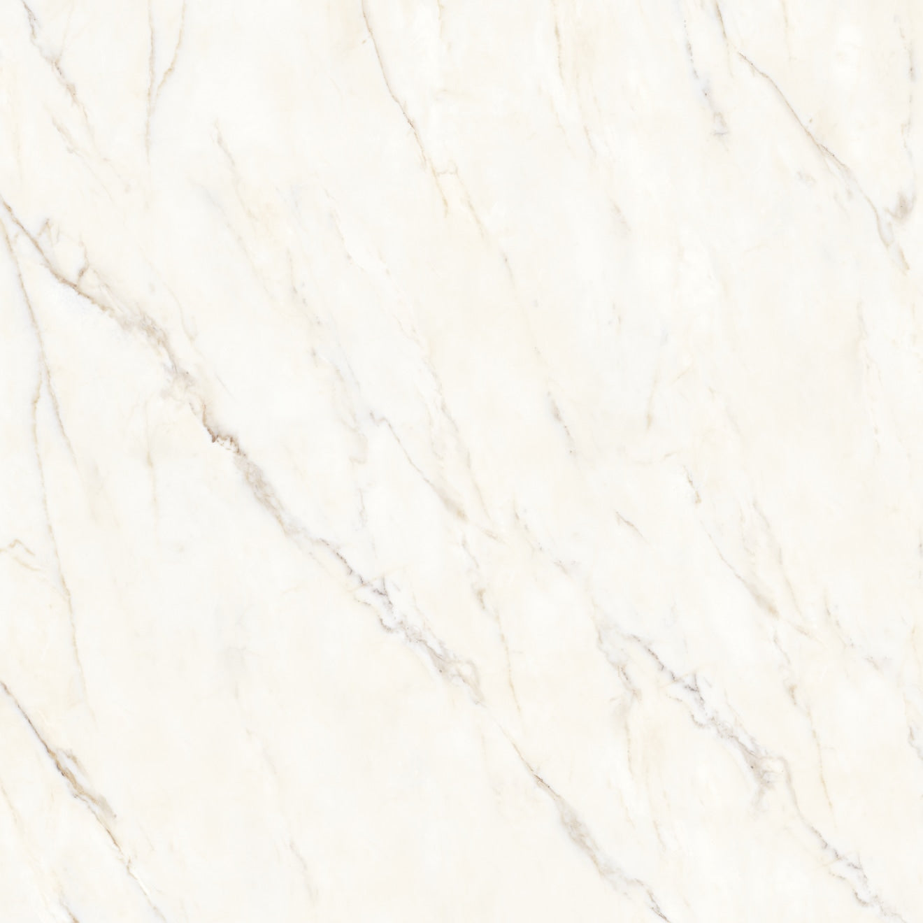 Bedrosians Magnifica Encore Slab 58.5" x 86" Shower Panels Honed Calacatta Oro