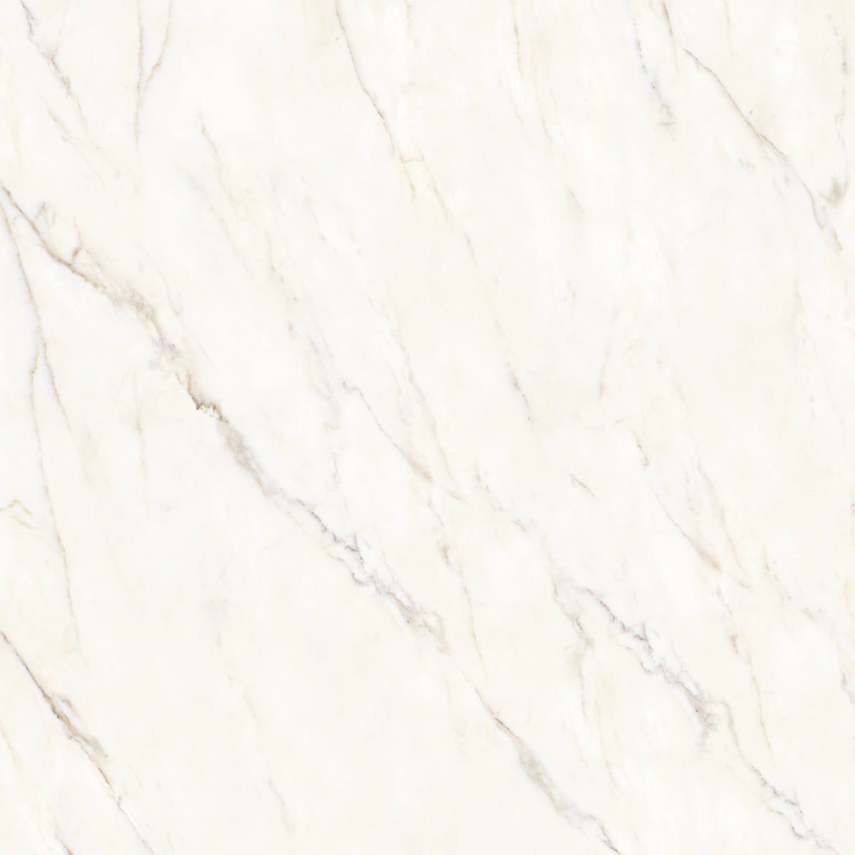 Bedrosians Magnifica Encore Slab 58.5" x 86" Shower Panels Honed Calacatta Oro