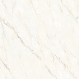 Bedrosians Magnifica Encore Slab 58.5" x 86" Shower Panels Honed Calacatta Oro